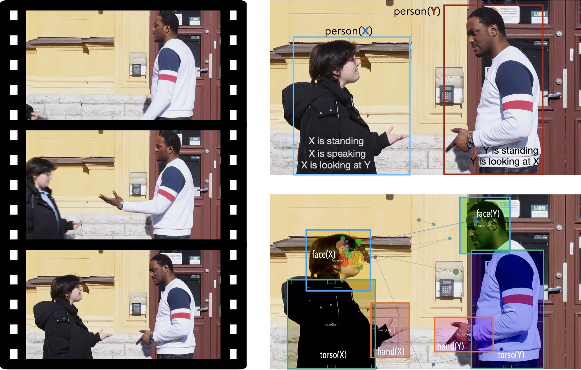 Dataset visualization